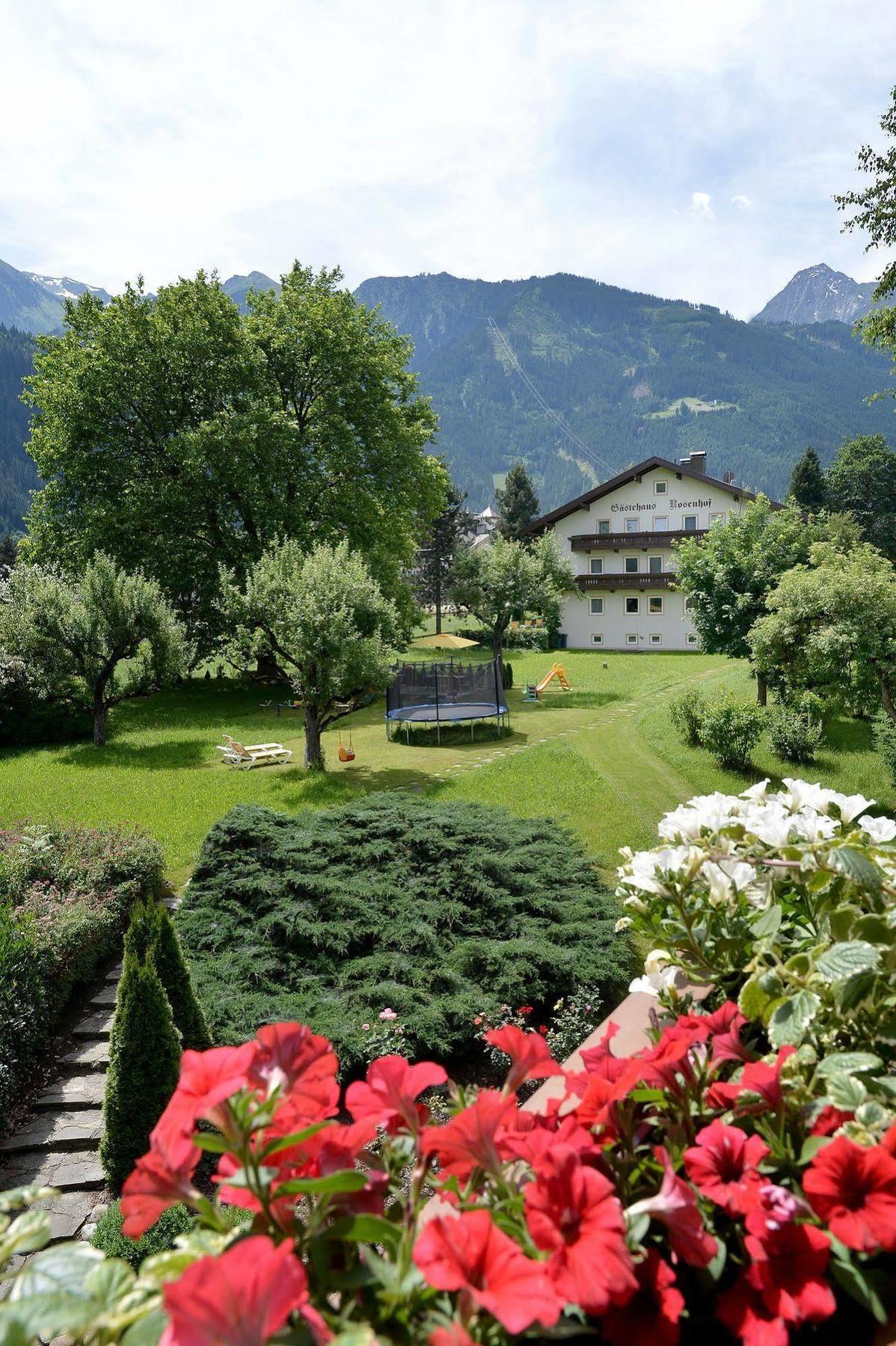 Pension Birkenhof Mayrhofen Luaran gambar
